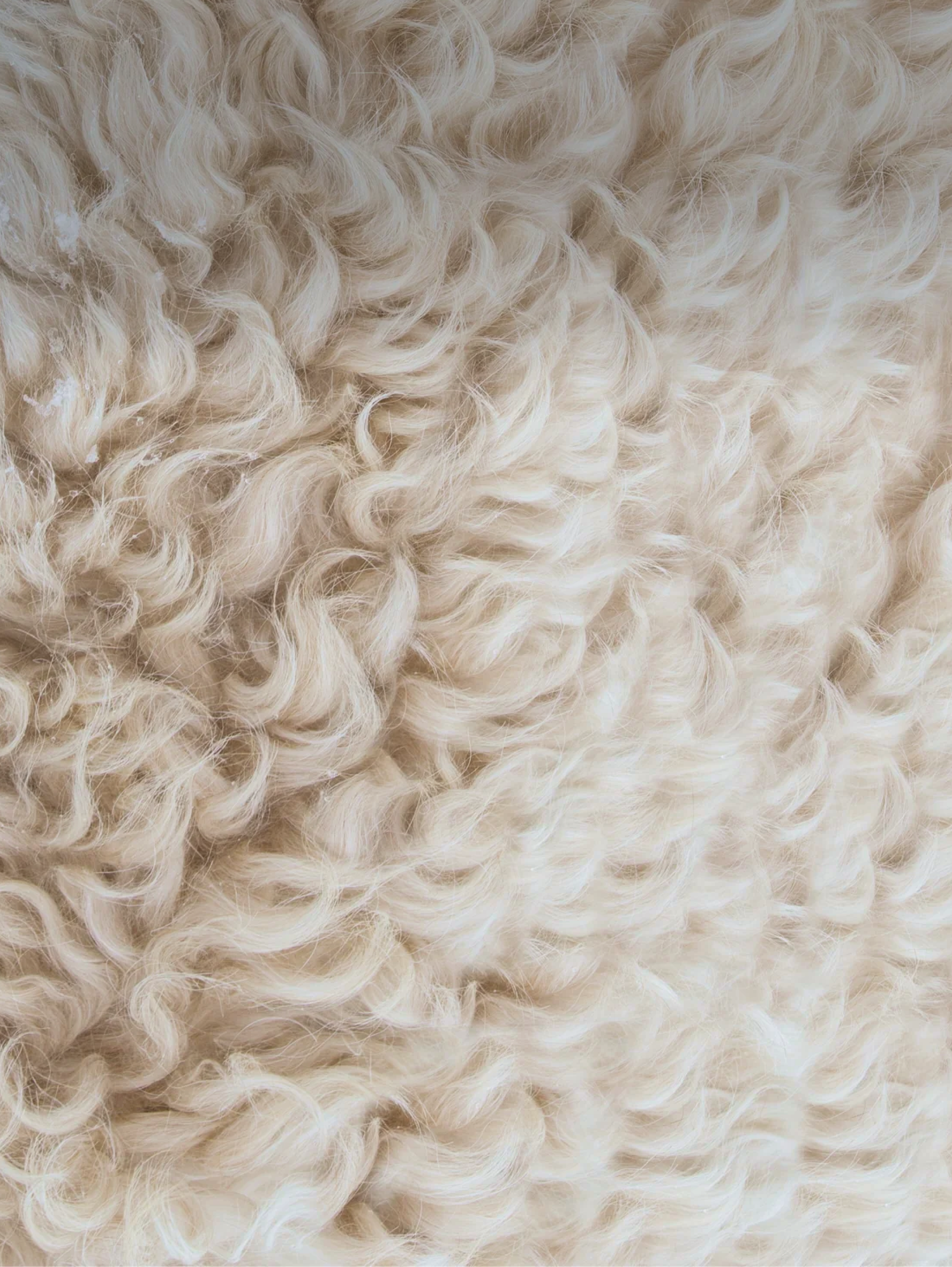 Responsible Wool Standard CERTIFIED MERINO WOOL